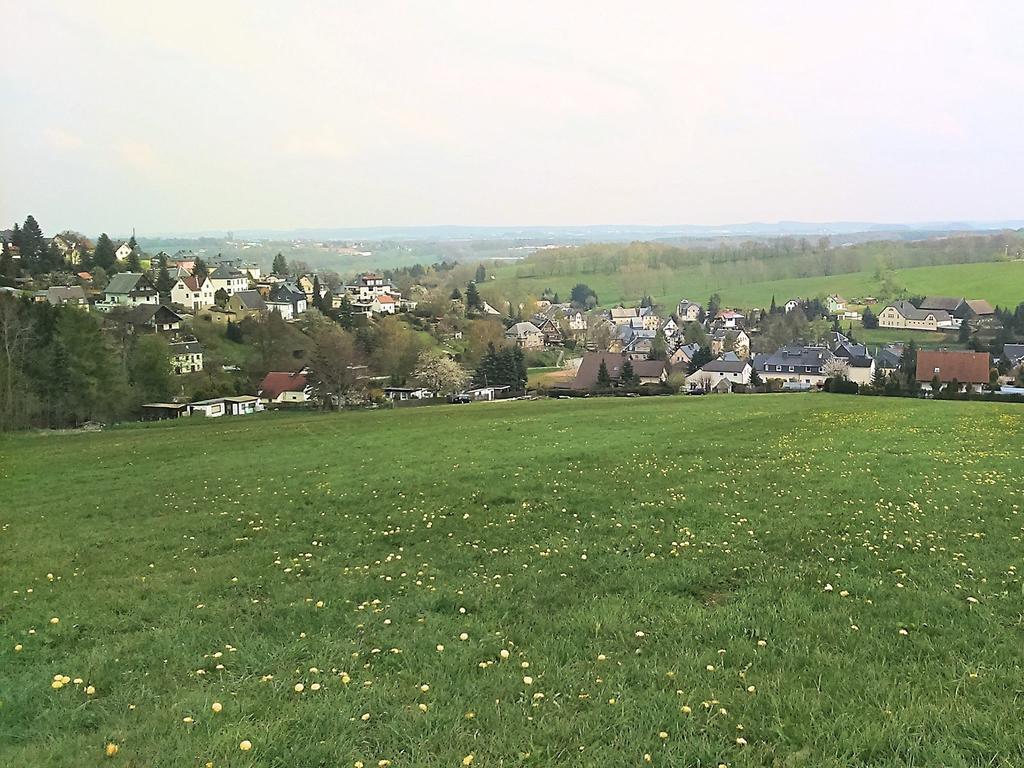Apartment With Views Of The Ore Mountains Oelsnitz  Eksteriør billede